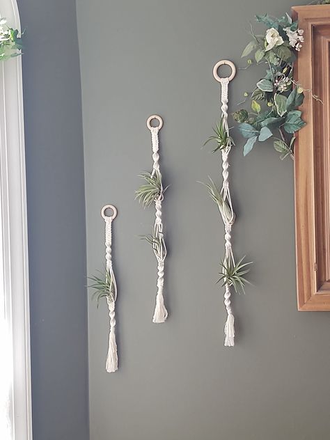 Planter Shelves, Boho Plant Hanger, Vintage Plant Hanger, Air Plant Hanger, Hanger Crafts, Makramee Diy, Air Plant Display, Wood Planter, Hanging Plant Holder