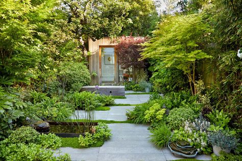 Garden Design London, Townhouse Garden, Urban Garden Design, Tattoo Plant, Small Courtyard Gardens, Courtyard Gardens Design, Corner Garden, London Garden, Have Inspiration