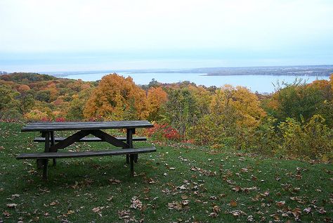 Grandview Drive - proclaimed by President Franklin Roosevelt to be "The World's Most Beautiful Drive." Fall Foliage Trips, Starved Rock State Park, Illinois Travel, Illinois River, East Peoria, Peoria Illinois, Scenic Drive, Lake Michigan, Natural Wonders