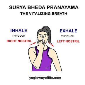 Breathing Practices, Yoga Pranayama, Yoga Transformation, Pranayama Techniques, Dharma Yoga, Pranayama Breathing, Pranayama Yoga, Yoga Information, Yoga Facts