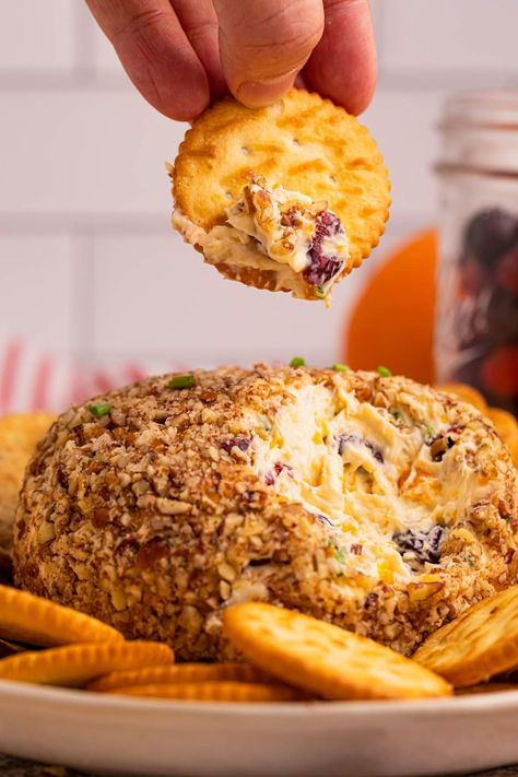 Get ready to impress your guests with this cranberry orange cheese ball. The addition of marmalade gives it a zesty citrus twist, while the cranberries add a refreshing burst that balances the creaminess of the cheese. Starting your meal with a standout appetizer like this is always a hit. Perfect for your holiday gathering, this cheese ball pairs well with your favorite dippers. Feel free to get creative and dress it up in festive ways - add sun-dried tomatoes, fresh basil or anything you ... Cranberry Orange Cheese Ball, Holiday Cheese, Fancy Appetizers, Ball Recipes, Christmas Cheese, The Cranberries, Cranberry Cheese, Herb Cheese, Citrus Twist