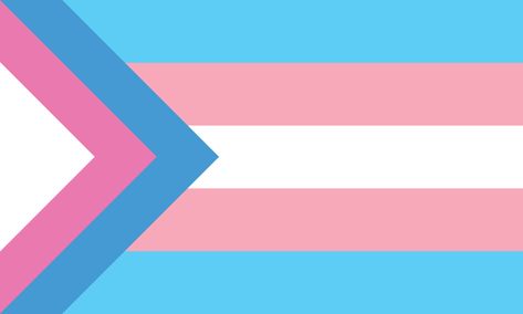 Trans And Nonbinary Flag, Trans And Gay Flag Icon, Agender Lesbian Flag, Trans Gay Pride Flag, Trans Pride Flag, Gay Flag, Gender Flags, Flag