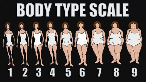 what is your idea of healthy?
overall two has a good body shape and probably has the best BFR of all them. Look wise, I like 3's top half and 4's bottom half. 3 would be near perfect if she didn't lack calves (she'd be confined to a wheelchair in this case).. Body Type Workout, Apple Body Type, Body Types Women, Plus Size Brides, Ideal Body, Dr Oz, Health Diet, Body Image, Fitness Beauty