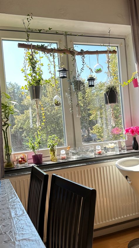 Windows Window With Hanging Plants, How To Hang Plants In Front Of Window, Room Window Plants, Hanging Plants In Front Of Window, Hanging Plants Window, Window Hanging Plants, Window Plant Hanger, Herb Hanging, Window Sill Plants