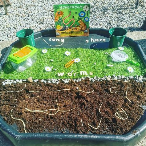 Worms Eyfs Activities, Super Worm Tuff Tray, Worm Provocations, Insect Eyfs Activities, Nursery Garden Activities, Superworm Tuff Tray, Insect Tuff Tray Ideas, Mini Beast Tuff Tray, Eyfs Minibeasts Activities