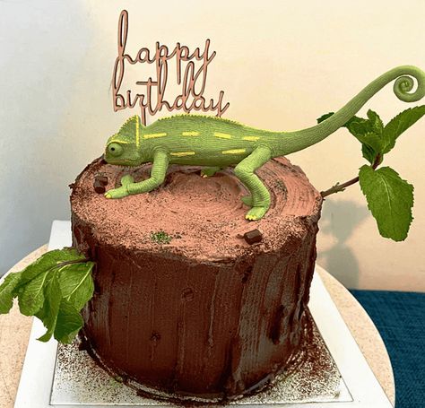 Chameleon Birthday Cake Ideas Images (Pictures) Geko Lizard Cake, Chameleon Birthday Party, Lizard Birthday Cake Ideas, Lizard Birthday Cake, Reptile Cakes For Boys, Reptile Birthday Cake, Chameleon Cake, Reptile Cake, Lizard Cake