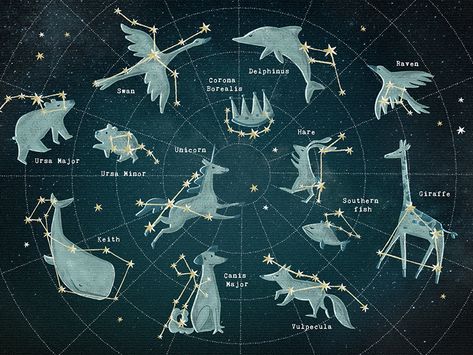 Constellation map Zodiac Constellation Tattoo, Constellation Drawing, Constellation Chart, Astronomy Constellations, Constellation Art, Constellation Tattoo, Moon Reading, Hidden Truths, Constellation Map