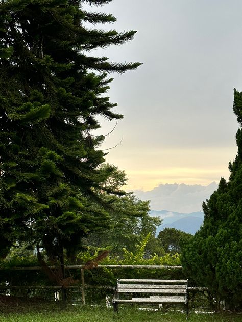 A broken white long chair with trees and bushes surrounding it while the sky looks blue and yellow with hardly seen mountains far away Fraser Hill, Beautiful Scenery, Photography, Red, Instagram