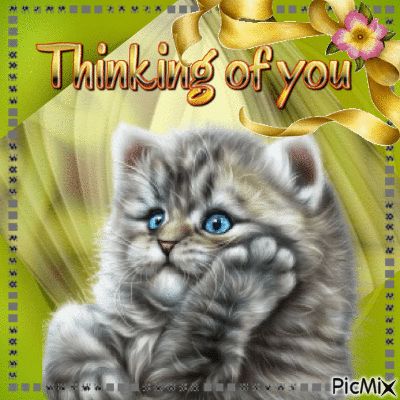 thinking of you Thinking Of You Images, Pinterest Download, Friends Font, Video Maker, Photo Editor, Animated Gif, Thinking Of You, Music Videos, Gif