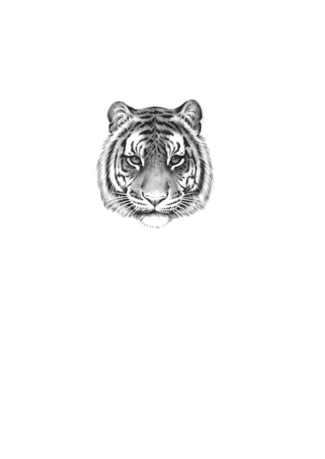 Next Level Tattoo, White Tiger Tattoo, Tiger Face Tattoo, Shading Tattoo, Mom Daughter Tattoos, Dove Tattoos, Magic Runes, Fan Tattoo, Tiger Tattoo Design