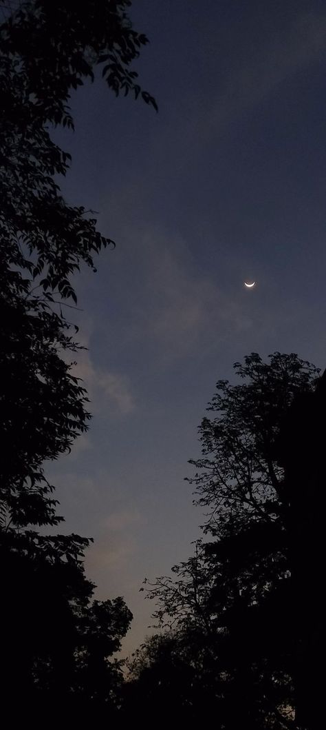 Aesthetic Moon, Morning Sky, Night Sky, Moon