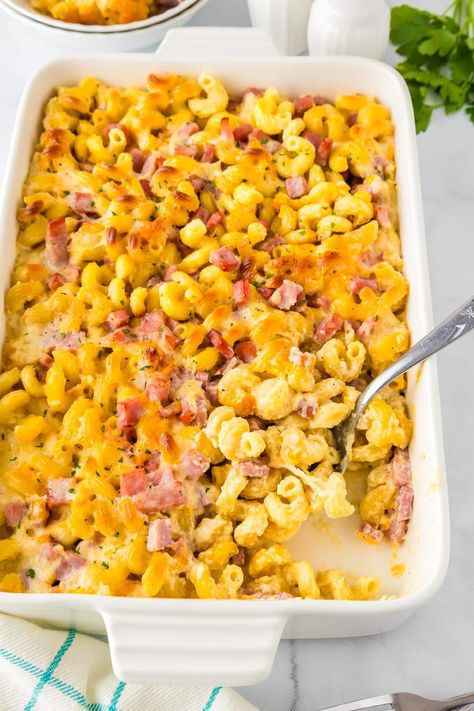 Mac And Cheese Cavatappi, Cavatappi Mac And Cheese, Baked Cavatappi, Mac And Cheese With Ham, Pasta With Ham, Cavatappi Pasta, Copycat Drink Recipes, Easy Mac N Cheese Recipe, Velveeta Recipes