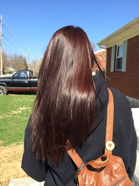 Long Brown Hair, My Hair, Brown Hair, Long Hair, Highlights, Red, Hair, Color