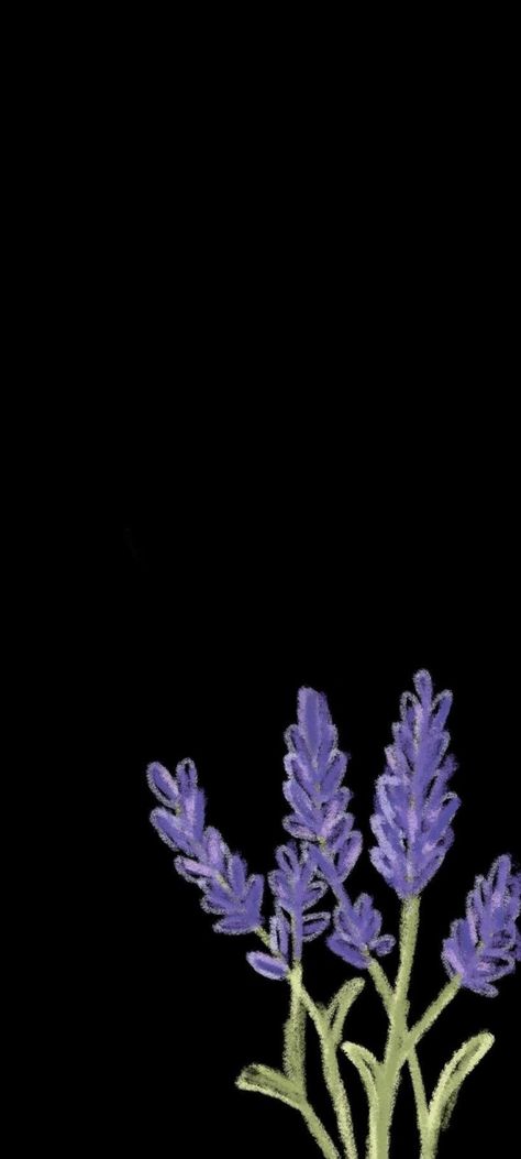 Flower Wallpaper Purple, Minimalist Wallpaper Phone, Lavender Wall, Dark Purple Wallpaper, Purple Wallpaper Iphone, Black Wallpaper Iphone, More Wallpaper, Minimalist Wallpaper, Purple Lavender