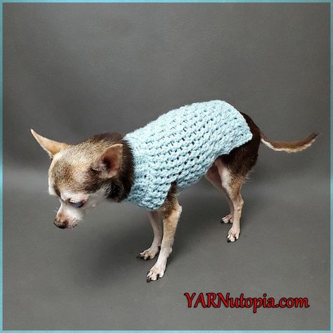 Chihuahua Sweater Pattern Free, Small Dog Sweaters Crochet Free Pattern, Teacup Chihuahua Crochet Sweater Pattern Free, Crochet Small Dog Sweater Free Pattern, Small Dog Sweaters Crochet Free, Dog Sweater Crochet Pattern Free, Crochet Dog Clothes Free Pattern, Navel Oiling, Crochet Dog Sweater Free Pattern