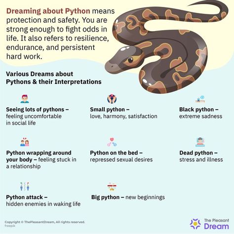 Dreaming about Pythons – 45 Scenarios and Interpretations Snake Dream Meaning, Dream Symbolism, Snake Symbolism, Creepy Nature, Magic Portal, Animal Meanings, Dream Meaning, Spiritual Animal, Coconut Dream