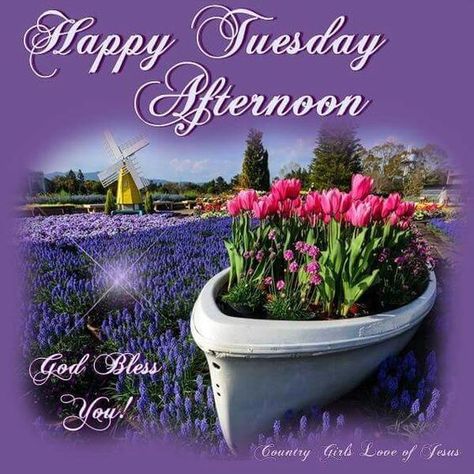 Happy Tuesday Afternoon tuesday afternoon happy tuesday tuesday blessings tuesday image quotes tuesday pics Tuesday Afternoon Greetings, Tuesday Afternoon Quotes, Tuesday Afternoon Blessings, Good Afternoon Tuesday, Afternoon Pictures, Have A Nice Afternoon, Afternoon Blessings, Happy Tuesday Pictures, Happy Afternoon