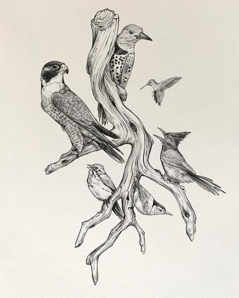 ✨Driftwood✨ Day 11. of following my own #drawingparade2024 prompts this month 🥲 Weeeelll, I’m behind. This drawing should have been finished days ago, however I sabotaged myself by deciding to add a whole party of birds to this piece of wood. 🫣 #drawingparade2024 #inktober #inktober2024 #inktoberchallenge #drawing #draweveryday #dailydrawing #naturedrawing #tattoodesign #driftwood Bird Tattoo, Nature Drawing, Daily Drawing, Birds Tattoo, Tattoo Designs, Birds, Tattoos, Drawings, Wood