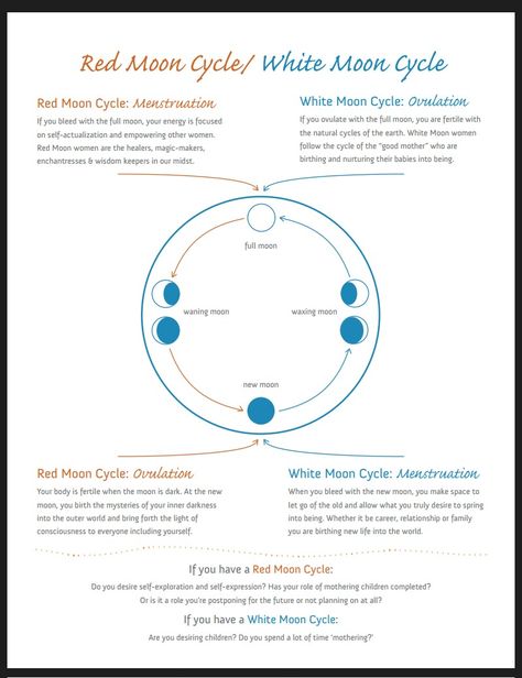 RED MOON VS WHITE MOON CYCLES – Birthing Divinity Holistic Consulting Red Moon Cycle, Period Cycle, Woman Health, Womb Healing, Moon Time, New Moon Rituals, Moon Cycle, Full Moon Ritual, Menstrual Health