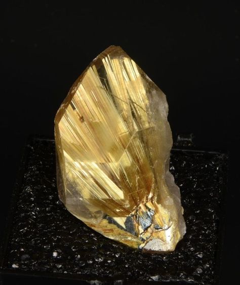 Rutilated Quartz Yellow Crystals, Gems Crystals, Geology Rocks, Fine Minerals, Pretty Rocks, Crystal Blue, Mineral Stone, Yellow Stone, Rock Stars