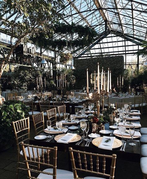 Conservatory Wedding, Dark Wedding Theme, Greenhouse Wedding, Dark Wedding, Moody Wedding, Future Bride, Whimsical Wedding, Restaurant Interior Design, Aesthetic Themes