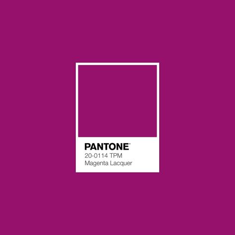 Magenta Interior Design, Black Tile Bathrooms, Random Wallpaper, Pantone Colour Palettes, Aesthetic Color, Color Reference, Color Magenta, Retro Theme, Color Inspo