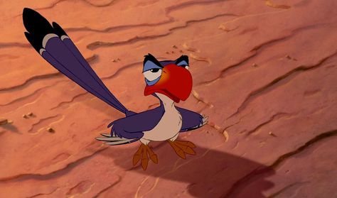 Zazu, The Lion King (1994) Lion King Zazu, Zazu Lion King, Rafiki Simba, He Lives In You, Lion King 1994, Lion King 1 1/2, Lion King Timon, Young Simba, Lion King 1