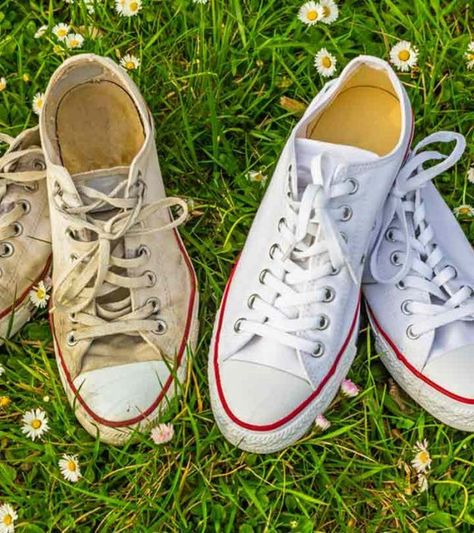 How To Clean White Converse, Clean Hacks, White Converse Shoes, Homemade Toilet Cleaner, Clean Baking Pans, Cleaning Painted Walls, Deep Cleaning Tips, White Converse, Clean Dishwasher