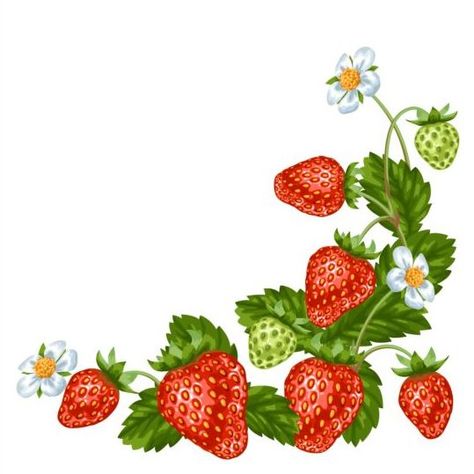 Fresh strawberries background design vectors 05 Art Sketches Digital, Strawberries Background, Strawberries Illustration, Sketches Digital, Strawberry Pictures, Strawberry Background, Strawberry Clipart, Strawberry Drawing, Strawberry Tattoo