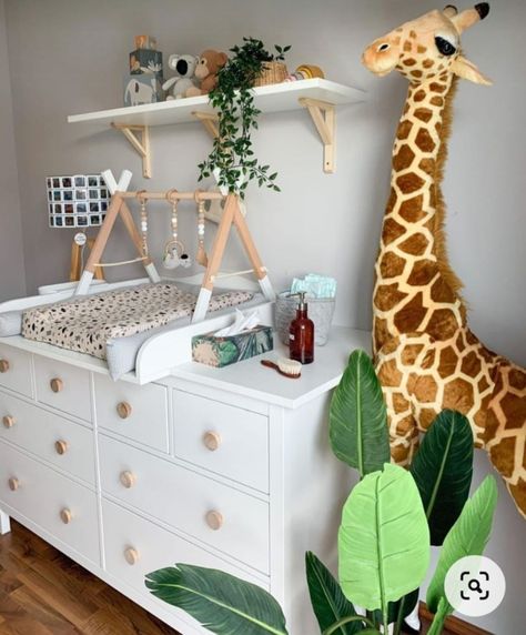 Safari Baby Room, Concrete Creations, Safari Room, Baby Room Organization, Baby Room Neutral, Baby Room Themes, Baby Nursery Themes, Baby Boy Room Decor, Nursery Room Design