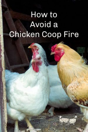 How to Avoid a Chicken Coop Fire - Timber Creek Farm Basic Chicken Coop, Urban Chicken Farming, Small Chicken Coops, Easy Chicken Coop, Chicken Coop Garden, Chicken Barn, Portable Chicken Coop, Backyard Chicken Coop Plans, Diy Chicken Coop Plans