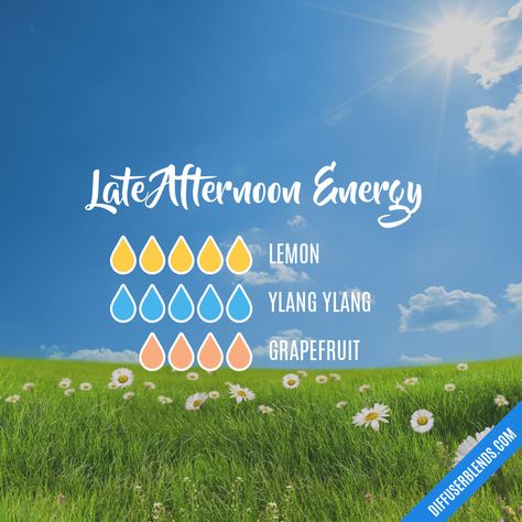 Late Afternoon Energy — Essential Oil Diffuser Blend Essential Oil Combinations, Doterra Essential Oils Recipes, Essential Oil Diffuser Blends Recipes, Young Living Essential Oils Recipes, Yl Oils, Essential Oils Guide, Essential Oil Diffuser Recipes, Oil Diffuser Recipes, Yl Essential Oils