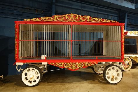 Circus Cage, Circus Room, Ringling Brothers Circus, Old Circus, Barnum Bailey Circus, Ringling Museum, Ringling Brothers, Circus Decorations, Circus Animals