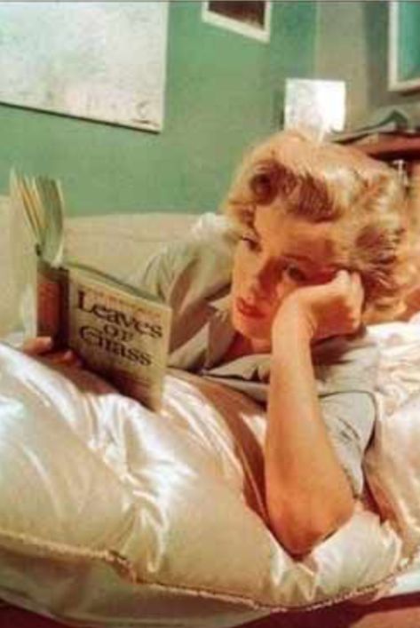 Marilyn Monroe reading and relaxing. Marilyn Monroe Reading, Marilyn Monroe Books, Thomas Wolfe, Ludwig Bemelmans, Graham Greene, Dorothy Parker, Short Novels, Tennessee Williams, Alfred Eisenstaedt