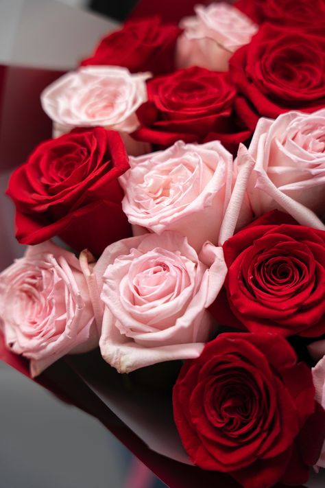 Mix of garden pink and red roses in hand tied bouquet, with modern wrapping. Regular 30 roses (15 pink and 15 red roses) Deluxe 40 roses ( 20 pink and 20 red roses) Premium 50 roses (25 pink and 25 red roses)