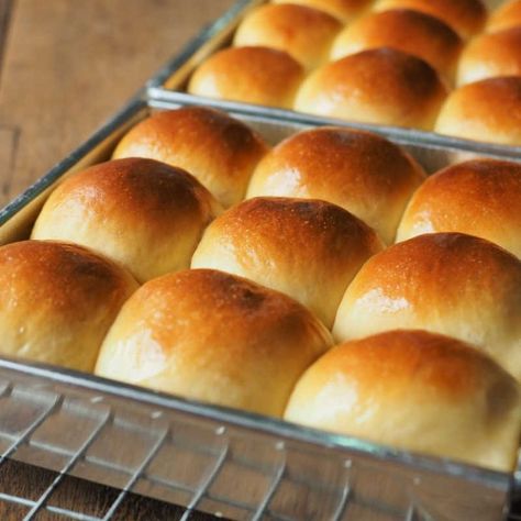 Golden Corral Rolls, Gluten Free Rolls Recipe, Thanksgiving Dinner Rolls, Bread Items, Potato Rolls Recipe, Hot Rolls, Potato Bun, Hawaiian Sweet Breads, Potato Buns