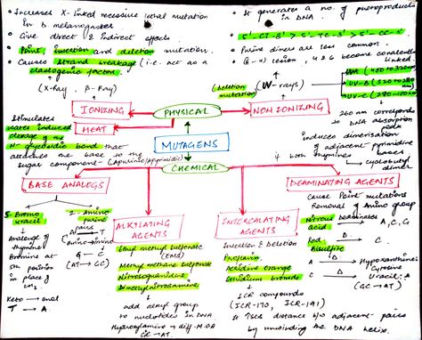 It is about the genetics part where we study about the Mutation and its a subtopic that is mutagens. Mutations Biology, Science Notes, Genetic Mutation, Flow Chart, Life Science, Biology, Physics, Science, Coding