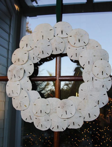 Sand Dollar Wreath Diy, Crafts Using Sand Dollars, Sanddollar Ornaments Diy, Sand Dollar Diy, Sand Dollars Crafts, What To Do With Sand Dollars, Sanddollar Crafts Diy Ideas, Sandollar Crafts, Sand Dollar Christmas