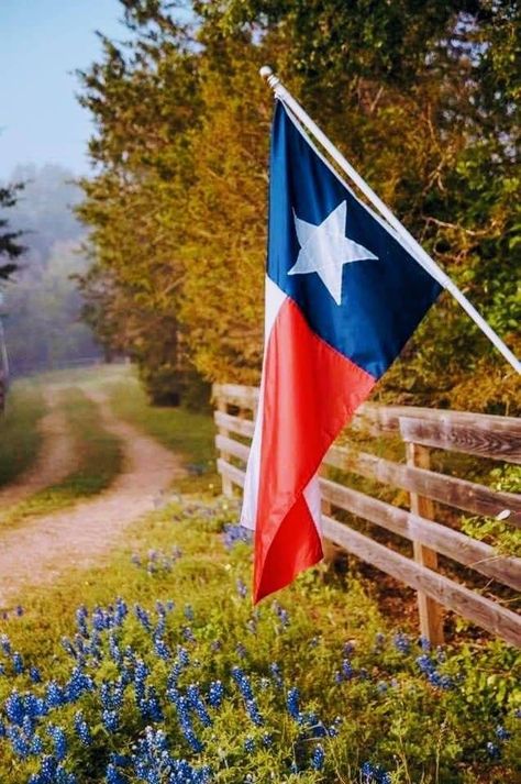 Texas Aesthetic, Only In Texas, Republic Of Texas, Visit Texas, Texas Living, Texas Life, Texas Things, Texas Places, Texas Photography