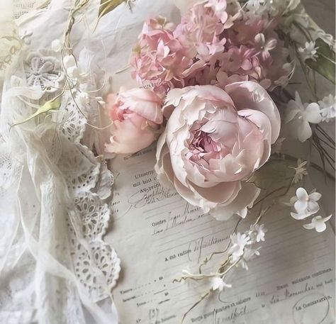 ˖ ݁𖥔.˚꒰ა ♡︎ ໒꒱˚.𖥔 ݁˖ Vintage Princess Aesthetic, Baby Pink Aesthetic, Rosé Aesthetic, Princess Core, Vintage Princess, Flower Therapy, Rose Pastel, Princess Aesthetic, Vintage Soft