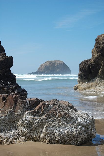 Arcadia Beach, Oregon Coast Northwest Aesthetic, Oregon Trip, Oregon Beach, Seaside Oregon, Visit Oregon, Travel Oregon, Washington Coast, Beautiful Oregon, Oregon Beaches