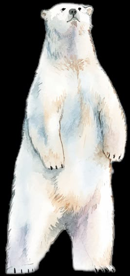 Polar Bear Watercolor, Polar Bear Painting, North Pole Animals, Polar Bear Paint, Polar Bear Drawing, Snow Watercolor, Polar Bear Illustration, Bear Sketch, Polar Bear Art