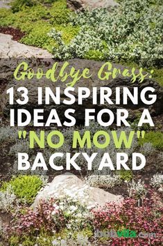 No Grass Yard, Grass Alternatives, Grass Alternative, No Grass Backyard, Lawn Alternatives, Cheap Backyard, Diy Lawn, Hillside Landscaping, Grasses Landscaping