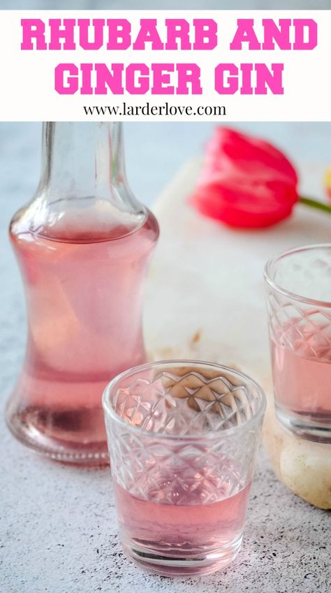 Rhubarb Gin Recipe, Rhubarb Shrub Recipe, Rhubarb Cordial Recipe, Rhubarb Drink Recipes, Rhubarb Liqueur Recipes, Rhubarb Liqueur, Homemade Booze, Homemade Liqueur Recipes, Liqueur Recipes