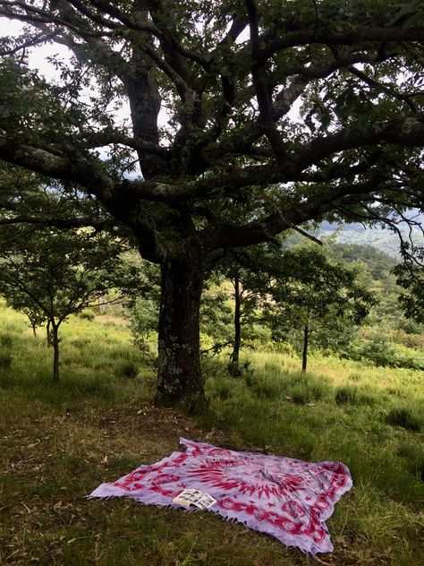 Blanket Aesthetic, Park Blanket, Cottagecore Vibes, Aesthetic Cottagecore, Perfect Picnic, Cottage Core, Picnic Blanket, Outdoor Blanket, Outdoor Decor