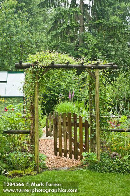 Wooden Arbor With Gate, Arbor Over Gate, Garden Gate Arbor, Garden Arbor With Gate, Gated Garden, Wooden Garden Gate, Garden Archway, Garden Gates And Fencing, Wood Arbor