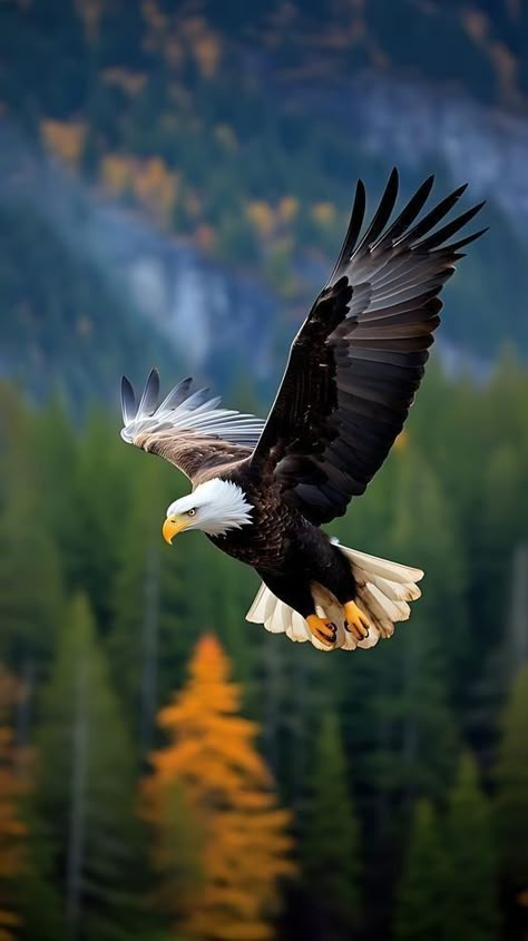 Bald Eagle Photography, Bald Eagle Pictures, Eagle Photography, Us Army Rangers, Eagle Wallpaper, Golden Eagles, Eagle Pictures, Army Rangers, Eagle Wings