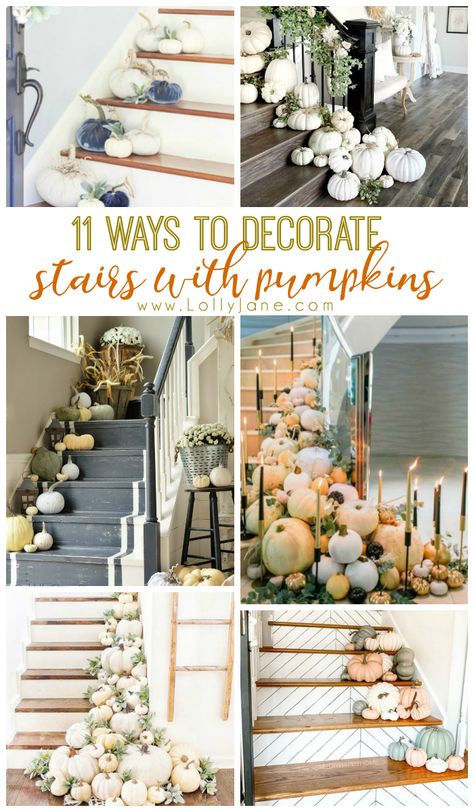 11 ways to decorate stairs with pumpkins! Get inspired this fall season with lots of ways to spruce up your stairs and welcome guests into your home. #pumpkindecor #waystodecoratestairsforfall #pumpkindecoratingideas #stairfalldecor #falldecorations Pumpkins On Stairs Outside, Fall Stair Decor Indoor, Fall Banister Decor, Pumpkins On Stairs, Fall Staircase Decor, Decorate Stairs, Wedding Succulents, Decorating Pumpkins, Pumpkin Inspiration