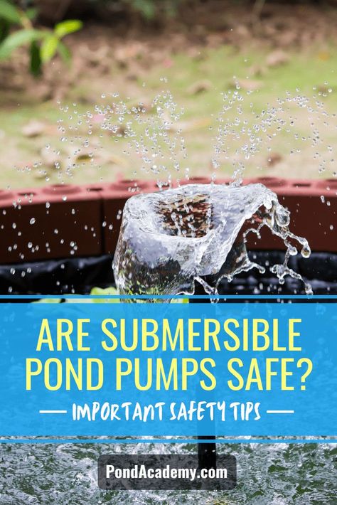 Powering your pond’s water features with a pump is a great idea. But are submersible pond pumps safe? We take a closer look at these popular pumps and cover some important safety tips! Pond Pump Cover Ideas, Garden Pond Ideas, Backyard Decoration Ideas, Dream Backyards, Backyard Escape, Garden Ponds, Pond Pumps, Backyard Designs, Pond Plants