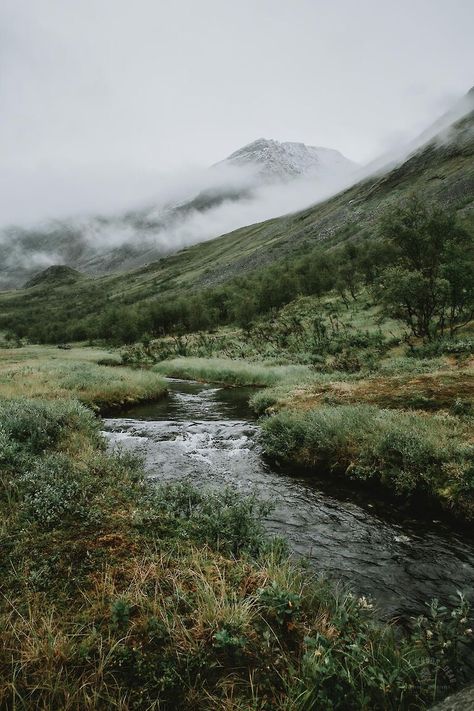 Backpacking in Swedish Lapland: Vistas Valley - In the Woods, Dear Swedish Countryside Aesthetic, Scandinavian Nature Aesthetic, Lapland Aesthetic, Scandinavian Countryside, Swedish Mountains, Sweden Countryside, Europe Interrail, Swedish Landscape, Swedish Aesthetic